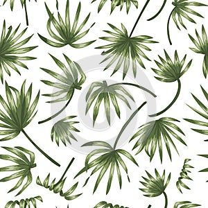 Vector seamless pattern of green palm tree leaves on white background