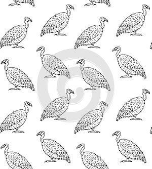 Vector seamless pattern of griffon vulture bird