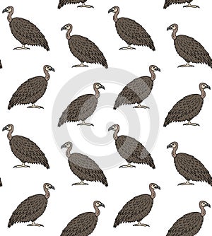 Vector seamless pattern of griffon vulture bird