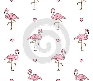 Vector seamless pattern of hand draw pink flamingo