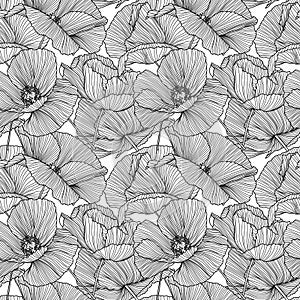 Vector seamless pattern with hand drawing wild flowers, linear black and white botanical illustration, floral elements