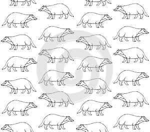 Vector seamless pattern of hand drawn badger