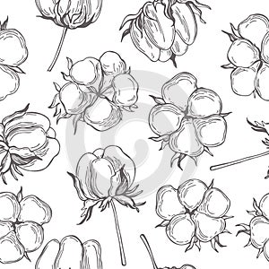 Vector seamless pattern with cotton plant.