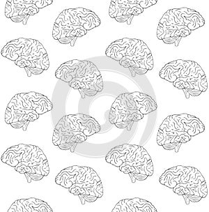 Vector seamless pattern of hand drawn brain