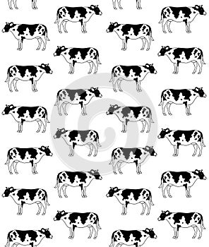 Vector seamless pattern of hand drawn flat cow