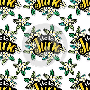 Vector seamless pattern with hand drawn flowers and lettering. Hello June.