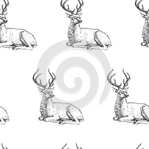 Vector seamless pattern with hand drawn forest deers. Background with wild animals in sketch style. Black and white texture