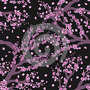 Vector seamless pattern with hand drawn illustration of sakura branch with flower on black background. Romantic japanese cherry br