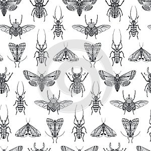 Vector seamless pattern with hand drawn insects. Entomological magical endless background.