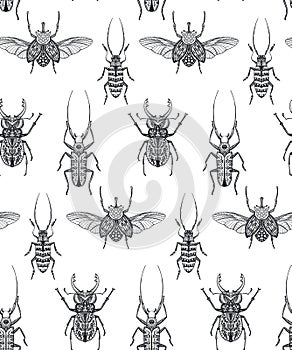 Vector seamless pattern with hand drawn insects. Entomological magical endless background.