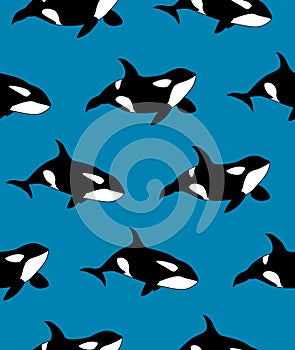 Vector seamless pattern of hand drawn killer whale swimming on blue background