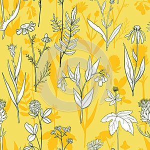 Vector seamless pattern with medical plants