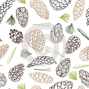 Vector seamless pattern with hand drawn pine cones