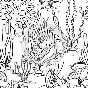 vector seamless pattern hand drawn seabed-8