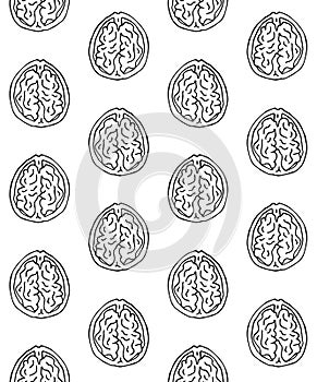 Vector seamless pattern of hand drawn Walnut