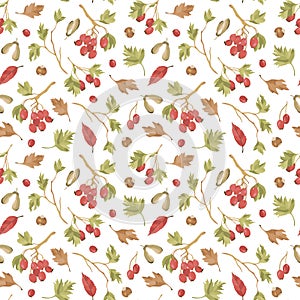 Vector seamless pattern of hawberry branches, berries and fall leaves, nuts. Autumn forest concept. Hawthorn background