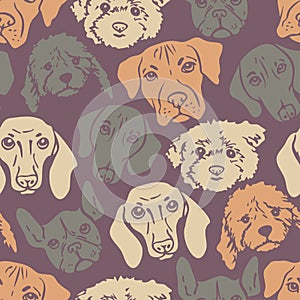 Vector seamless pattern with heads of different breeds dogs.