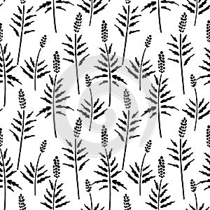 Vector seamless pattern of ink drawing wild plants, herbs, monochrome botanical illustration, floral elements, hand