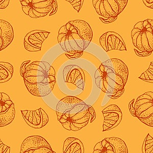 Vector seamless pattern with ink hand drawn citrus fruit, slices and leaves sketch. Mandarin orange, tangerine, lime on