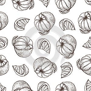 Vector seamless pattern with ink hand drawn citrus fruit, slices and leaves sketch. Mandarin orange, tangerine, lime