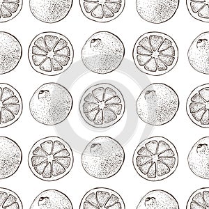 Vector seamless pattern with ink hand drawn citrus fruit, slices and leaves sketch. Mandarin orange, tangerine, lime