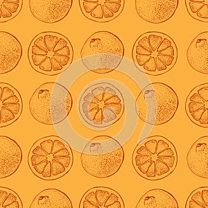 Vector seamless pattern with ink hand drawn citrus fruit, slices and leaves sketch. Mandarin orange, tangerine, lime on