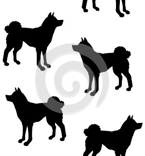 Vector seamless pattern of Japanese akita inu dog