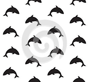 Vector seamless pattern of killer whale silhouette