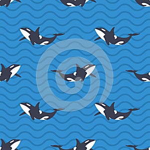 Vector seamless pattern with killer whales or orcas in the sea.