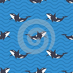 Vector seamless pattern with killer whales or orcas in the sea. photo