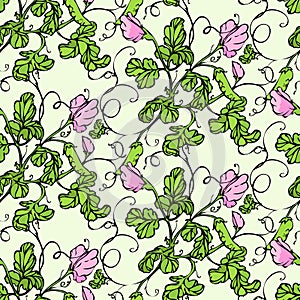 Vector seamless pattern with lathyrus flower