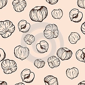 Vector seamless pattern of line art hazelnuts. Hand painted nuts on pastel beige background. Tasty food illustration for