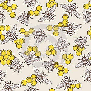 Vector seamless pattern with linear bee and yellow honeycombs. Organic honey background.