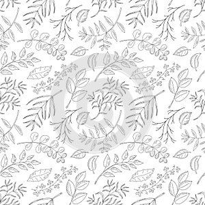 Vector seamless pattern with natural leaves, herbs, grass