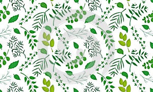 Vector seamless pattern with natural leaves, herbs, grass