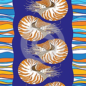 Vector seamless pattern with Nautilus Pompilius or chambered nautilus in ornate shell on the blue striped background. photo