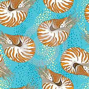Vector seamless pattern with Nautilus Pompilius or chambered nautilus in ornate striped shell on the turquoise background.