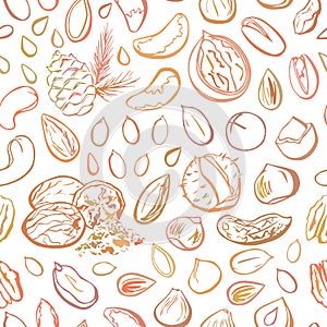 Vector seamless pattern Nuts and seeds. Hand drawn elements with brown gradient outline on white.