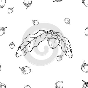 Seamless pattern of oak leaves and acorns. Vector of a seamless pattern of an oak branch with an acorn. Hand drawn oak leaves with