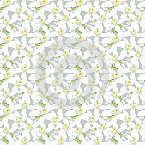 Vector seamless pattern with orange fruit blossom