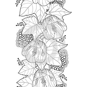 Vector seamless pattern with outline black Abutilon or Indian mallow flower and leaf on the white background. Vertical border.