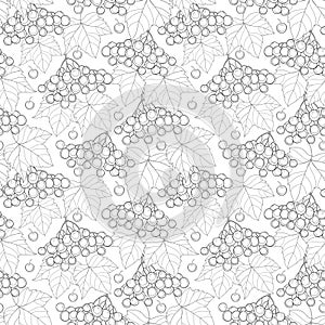 Vector seamless pattern with outline bunch of Viburnum or Guelder rose, leaves and berry on the white background.