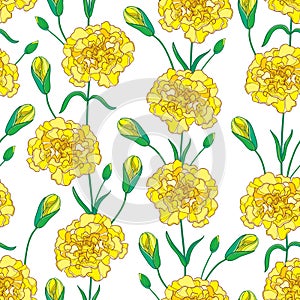 Vector seamless pattern with outline Carnation or Clove flowers, bud and leaves in yellow and green on the white background.