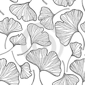 Vector seamless pattern with outline Gingko or Ginkgo biloba leaves in black on the white background. Floral pattern with Gingko.