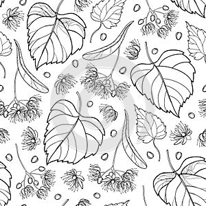Vector seamless pattern with outline Linden or Tilia or Basswood flower bunch, bract, fruit and ornate leaf in black on the white.
