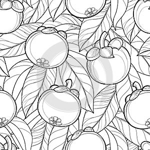 Vector seamless pattern with outline Mangosteen or Garcinia mangosteen fruit and leaf on the white background. Fruit pattern. photo