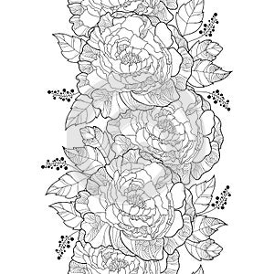 Vector seamless pattern with outline peony flower and ornate leaf in black on the white background. Floral vertical peony border.