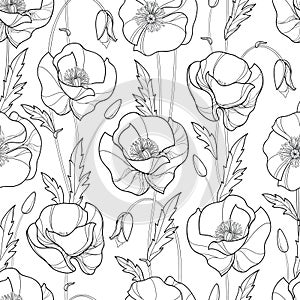 Vector seamless pattern with outline Poppy flower, bud and leaves in black on the white background. Monochrome floral pattern.