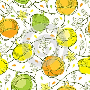 Vector seamless pattern with outline Pumpkins in orange, green and yellow with ornate flower on the white background.