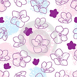 Vector seamless pattern with outline Saintpaulia or African violet flower in pastel pink and purple color on the white background.